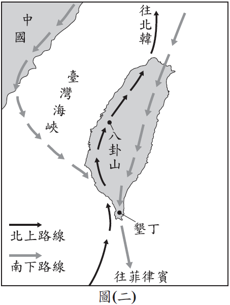 灰面鵟鷹遷徙路線圖